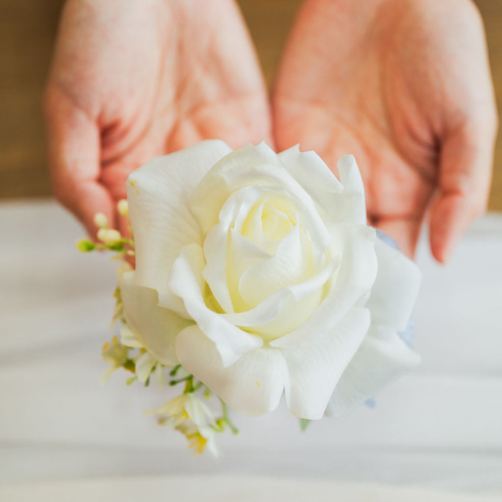 White rose held delicately between two hands on a soft background