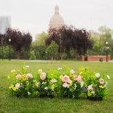 Wildest Dreams floor floral arrangements group in fours on grass with a blurred background near the Alberta Legislature building. 