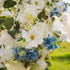 Close up of faux, artificial, real touch and silk flowers in whites and blue.